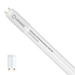 Ledvance LED Buis T8 Performance (UN) Ultra Output 15W 2400lm - 840 Koel Wit | 120cm - Vervangt 36W Ledvance LED Buis T8 Performance (UN) Ultra Output 15W 2400lm - 840 Koel Wit | 120cm - Vervangt 36W