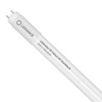 Ledvance LED Buis T8 Value (HF) Standard Output 8W 900lm - 840 Koel Wit | 60cm - Vervangt 18W Ledvance LED Buis T8 Value (HF) Standard Output 8W 900lm - 840 Koel Wit | 60cm - Vervangt 18W