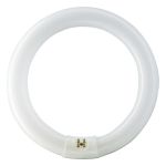 Osram T9 Lumilux Circline 32W - 840 Koel Wit | 30cm Osram T9 Lumilux Circline 32W - 840 Koel Wit | 30cm