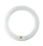 Osram T9 Lumilux Circline 22W - 840 Koel Wit | 21.5cm